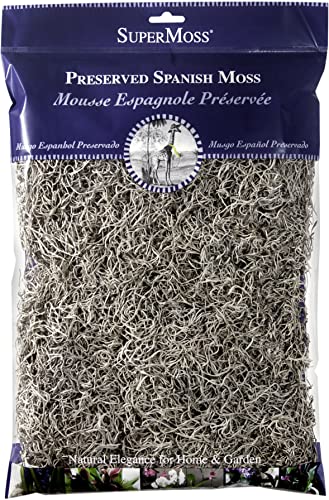 Mousse espagnole séchée contre l'évaporation pour une décoration végétale durable
