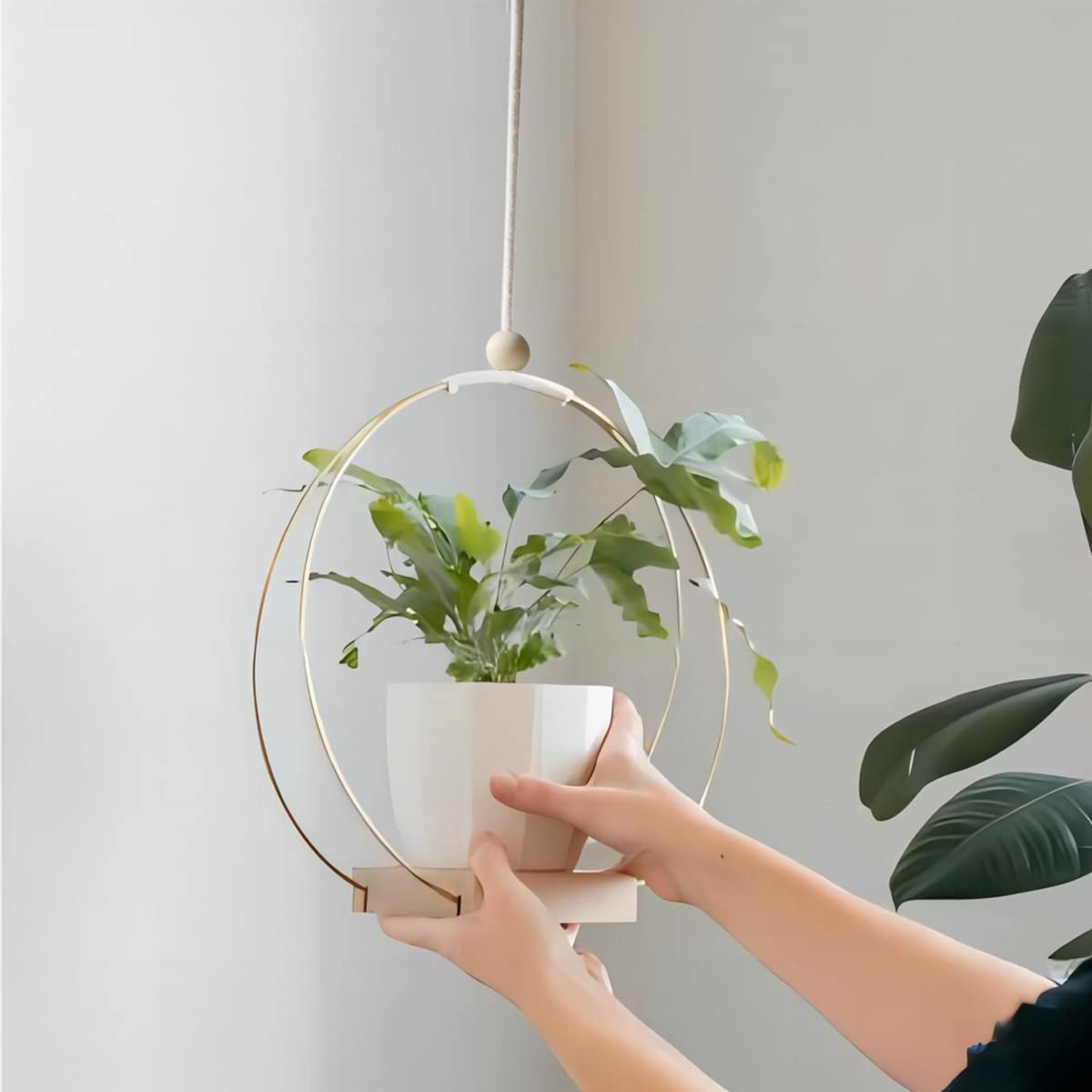 Dravmola Colgadores Para Plantas De Interior Con Base De Madera, image size:1200x1200