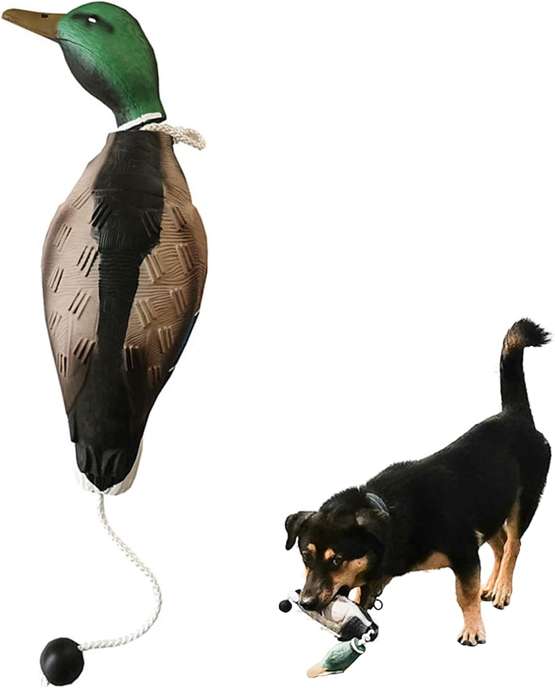 Dog Training Duck Dummy- EVA Material Trainer with Throwing Toggle, Dog Retrieval Training Toys Bird Dummy Mallard Mimics Duck Bumper Toy for Puppies or Adult Hunting Dogs