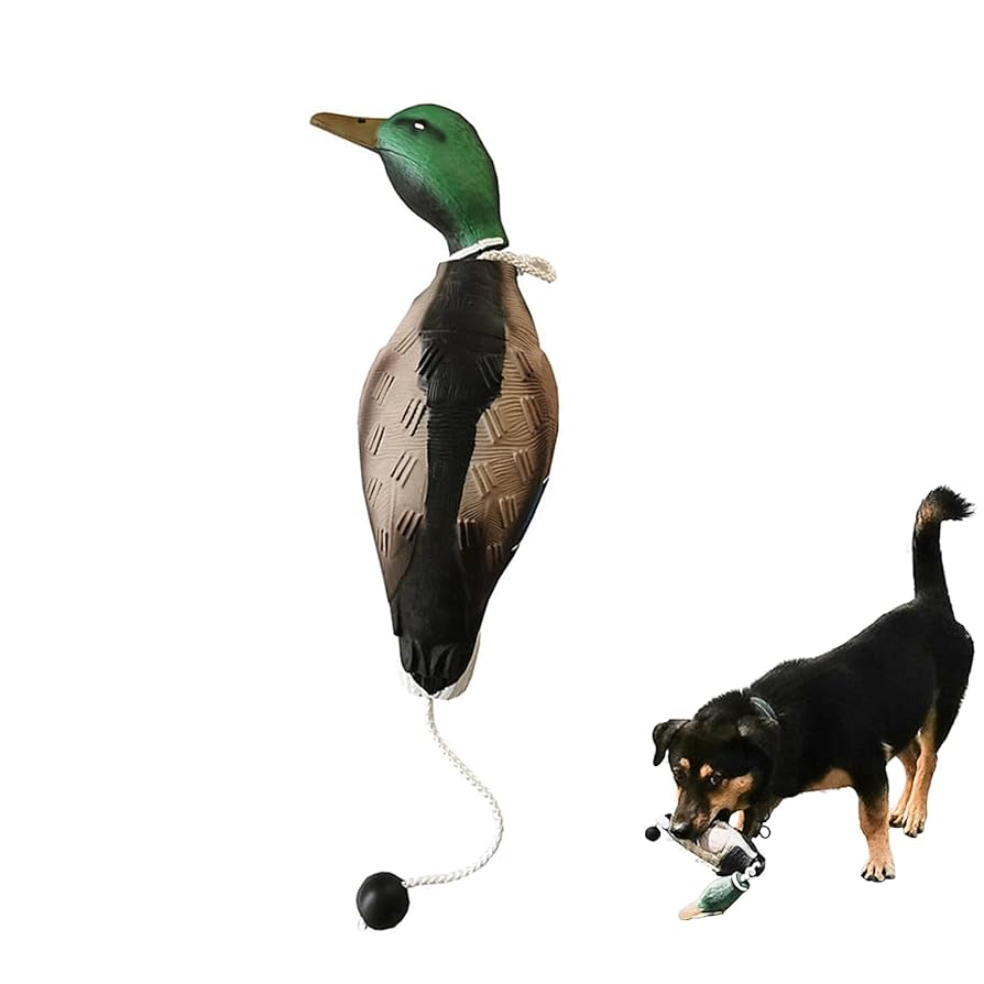 Dog Training Duck Dummy,Dog Or Field Puppy Training Dummies