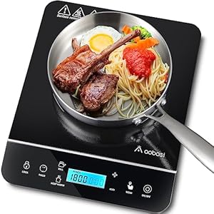 AAOBOSI Portable Induction Cooktop,1800W Induction Cooker with LCD Sensor Touch, Induction Cooktop Burner Child Safety Lock & 10H Timer, 9 Power 10 Temperature Setting for Cooking
