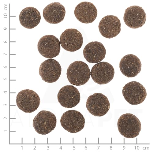 Wolfsblut Range Lamb Senior 12,5 kg