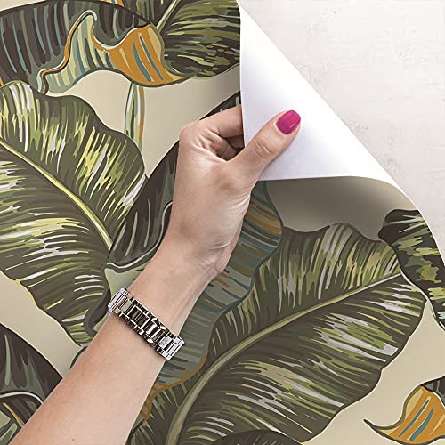 Papier Peint Grand Format pour Rénover Facilement un Mur Abîmé