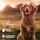 AniForte Fellharmonie Conditioner für Hunde 200ml - Sensitiv Spülung für Langhaar & Kurzhaar, Fellpflege & Schutz mit Aloe Vera, Anti Filz, ohne Parfum