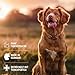 AniForte Fellharmonie Conditioner für Hunde 200ml - Sensitiv Spülung für Langhaar & Kurzhaar, Fellpflege & Schutz mit Aloe Vera, Anti Filz, ohne Parfum