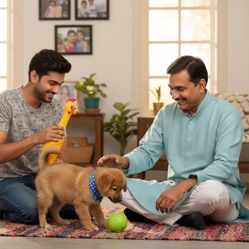 Image of Amazon Basics Interactive Dog Toy Combo | Squeaky Yellow Chicken & Rubber Ball | Latex Chew & Fetch | Non-Stuffed | for Puppies & Small Dogs