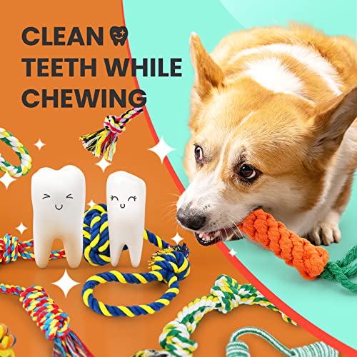 SHARLOVY Dog Chew Toys for Puppies Teething, Puppy Toys 16 Pack Dog Toys for Aggressive Chewers Puppy Chew Toys Peas… - Image 6
