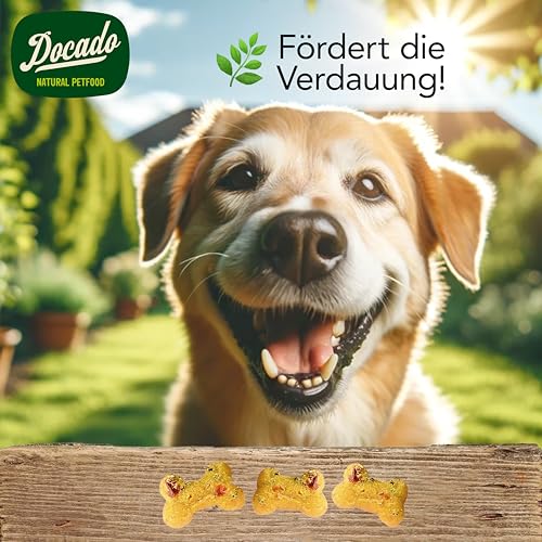 Docado Natural Petfood - Deluxe Mini Hundekekse Pute & Honig, Getreidefrei, Proteinreich, Omega-3, Hochwertig | Hundesnack Leckerli 125g