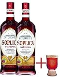 Soplica