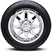 Nexen Roadian A/T Pro RA8 All- Season Radial Tire-235/75R15 109S