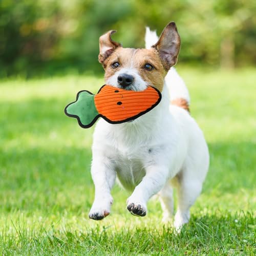 Juguete Mordible Suave en Forma de Zanahoria para Perros miniatura 3
