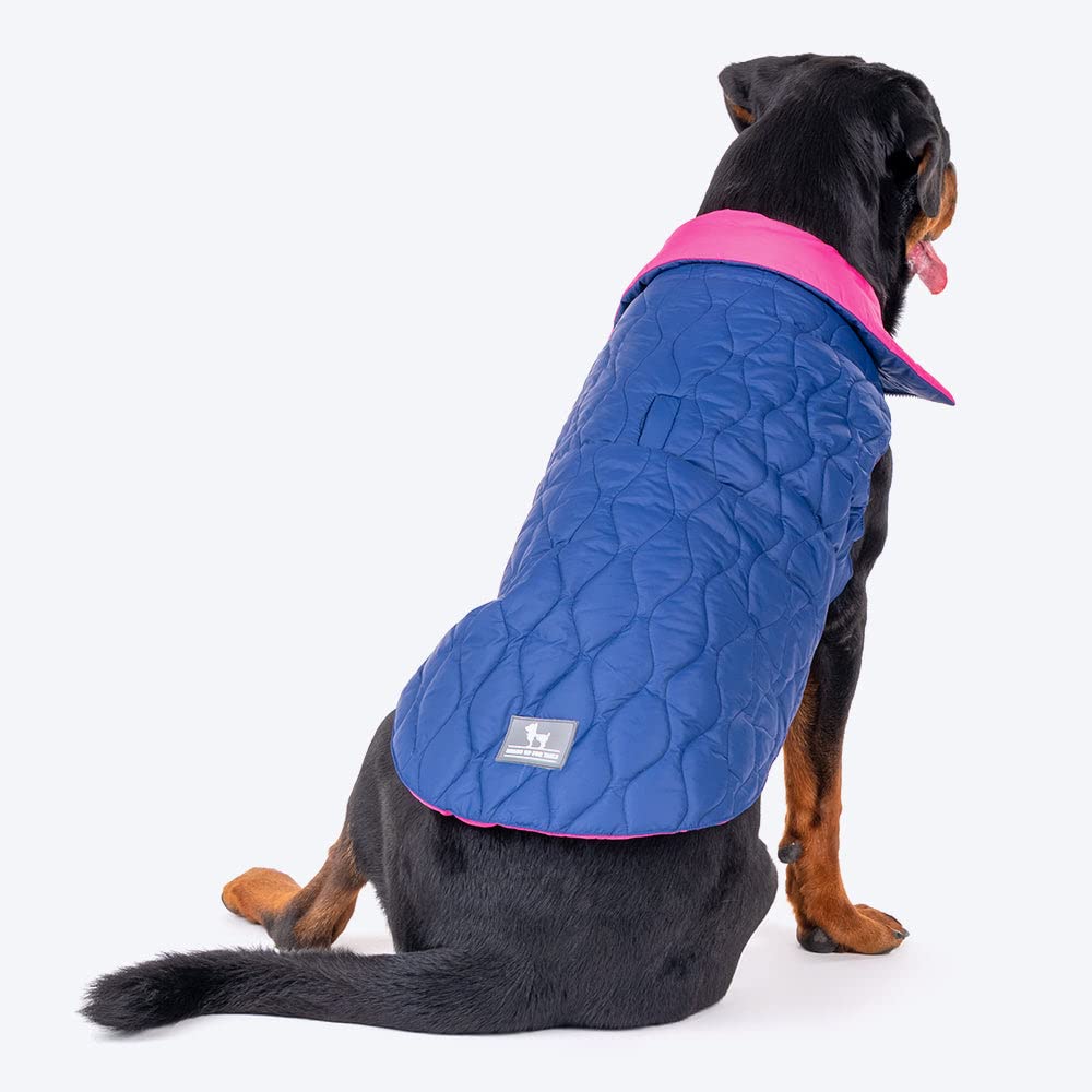 HUFT Cold Jackets for Dogs & Cats, Warm Winter Wear (Cosy Pupper Denim, L) (B0BLVPYZ6X) Amazon Price History, Amazon Price Tracker