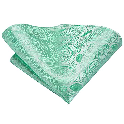 Dubulle Mens Mint Green Paisley Tie And Pocket Square Groom Wedding Necktie Set #TOP4