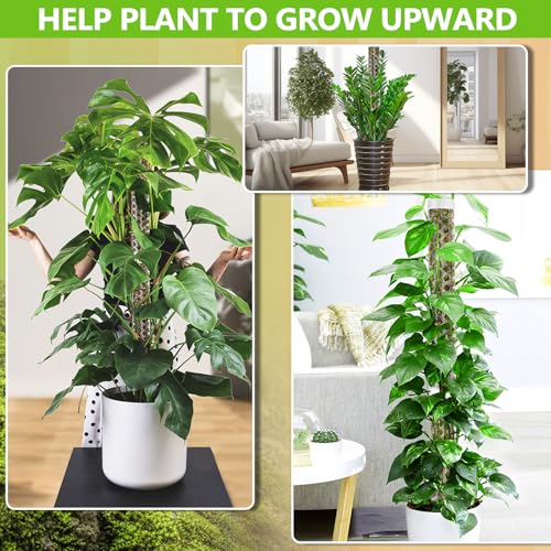Fabulas 55 Inch Moss Pole Set Of 4-17 Inch Plastic Moss Pole For Plants Monstera thumb #6
