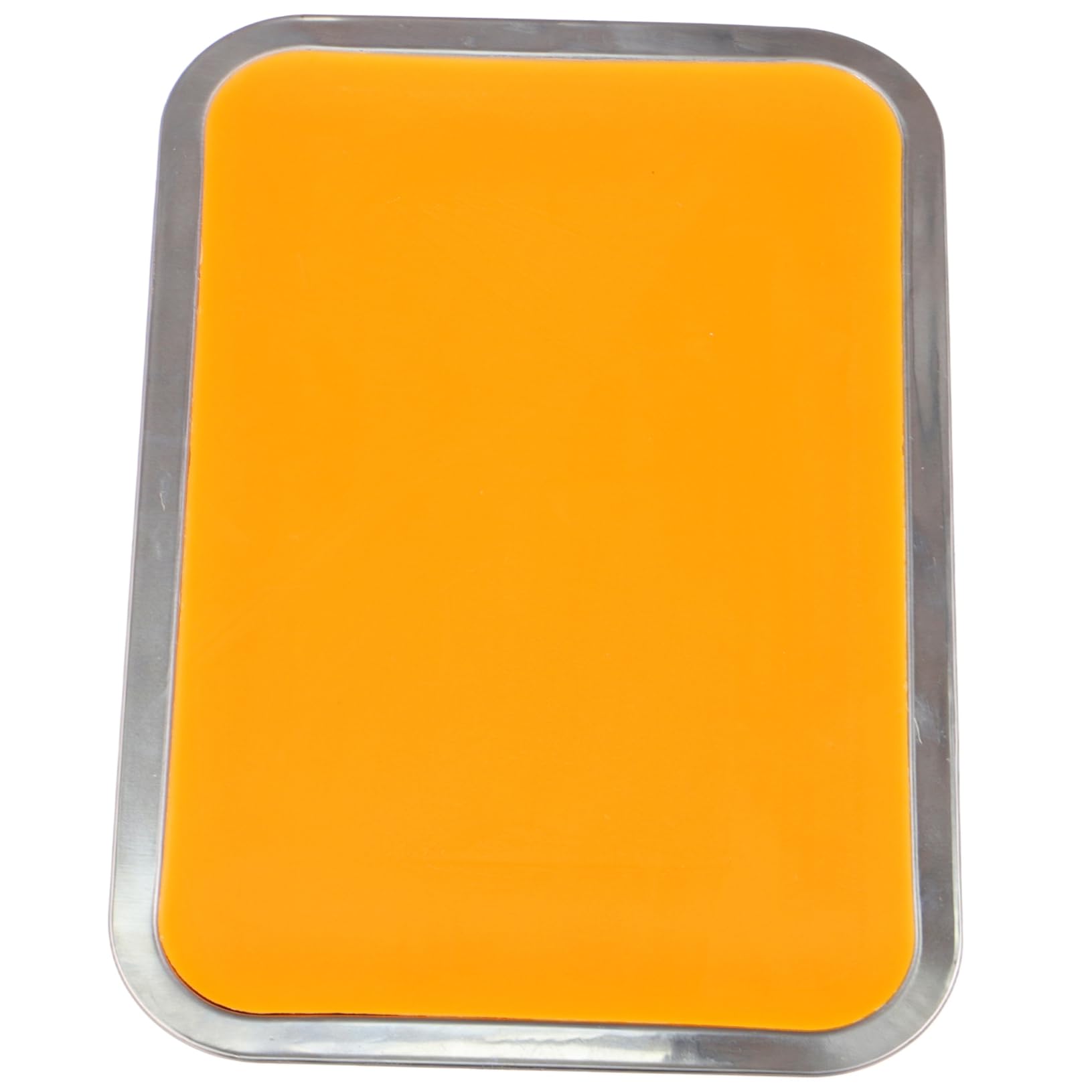 ULTECHNOVO Plateau de Dissection Cire avec Fond Métallique Plateau de Laboratoire Acier Inoxydable Fonte de Cire