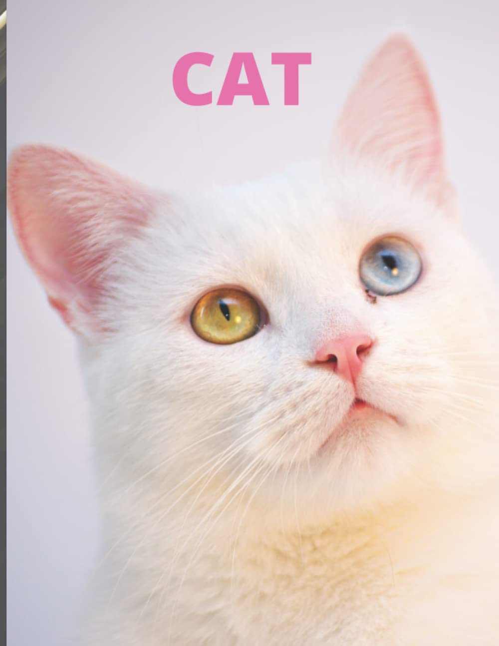 Cats Notebook: notebook Great for taking down notes, reminders