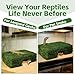 Hollima M Size Green Reptiles Cave Hide, Lizard Moss Hideout with Safe Shelter, Handmade Snake Cave Hut for Themed Terrarium Ideal for Gecko Hamster Snake Rest & Hide