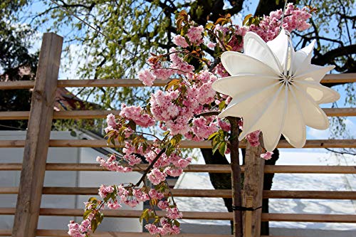 Lampion Barlooon I Wetterfester Lampion mit Beleuchtungs- und Montageset I Grösse S (Ø 30 cm) I Farbe orange I Beleuchtung I Garten und Terrasse I Handarbeit aus Deutschland - 6