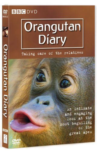 Orangutan Diary - Series 1 [DVD] [2007]: Amazon.co.uk: Michaela