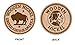 Buffalo Nickel Brown Wooden Nickel Collectible WN03