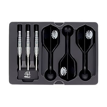 ダーツ TARGET SCREAM AKITO YAMAGATA Model Target Japan Akito Yamagata Scream G1 Swiss Point 90% Darts