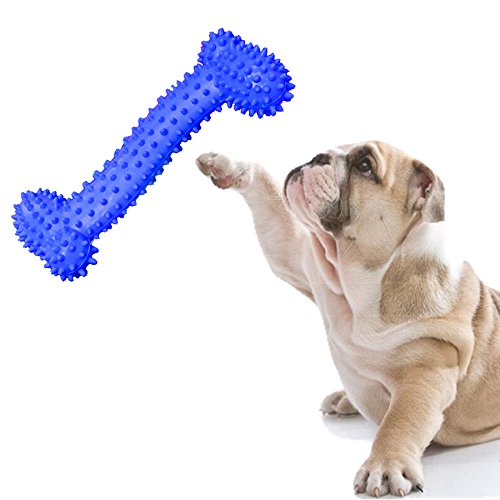 Sage Square Natural Rubber Bone Shape Toy Cum Tug Toy Cum Chew Toy for Dog/Puppy/Cat/Kitten (Random) (B07M6HTXWB) Amazon Price History, Amazon Price Tracker