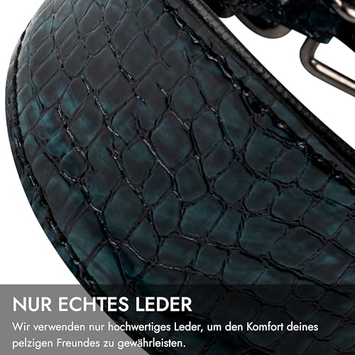 FAVPET Luxus Echtleder Windhund Halsband Breit mit QR Code Anhänger, Weiches Lederhalsband Hund Breit Whippet Italienisches Windspiel Saluki Lurcher Spanischer Galgo Greyhound Podenco (Grün, XS)