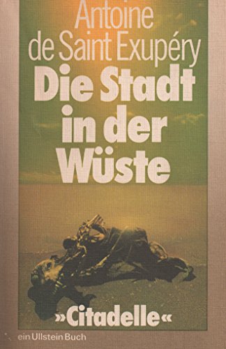 Die Stadt In Der Wueste 3548024084 Book Cover