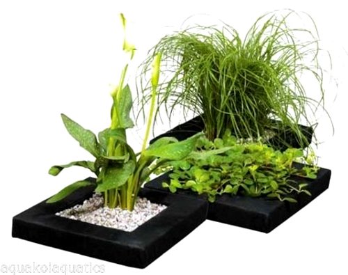 Aquacadabra 10x 25cm Square Floating Plant Island Fish Pond Planter Planting Basket