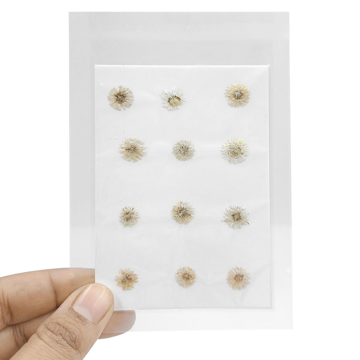 YellowCult Natural Real Dried & Pressed Flowers Sheets for Art Craft - Mixed, Multicolor for Soap, Candle, Journal, DIY, Resin Jewelry, Pendant-[Small Fragrant Flower-White]-image-12