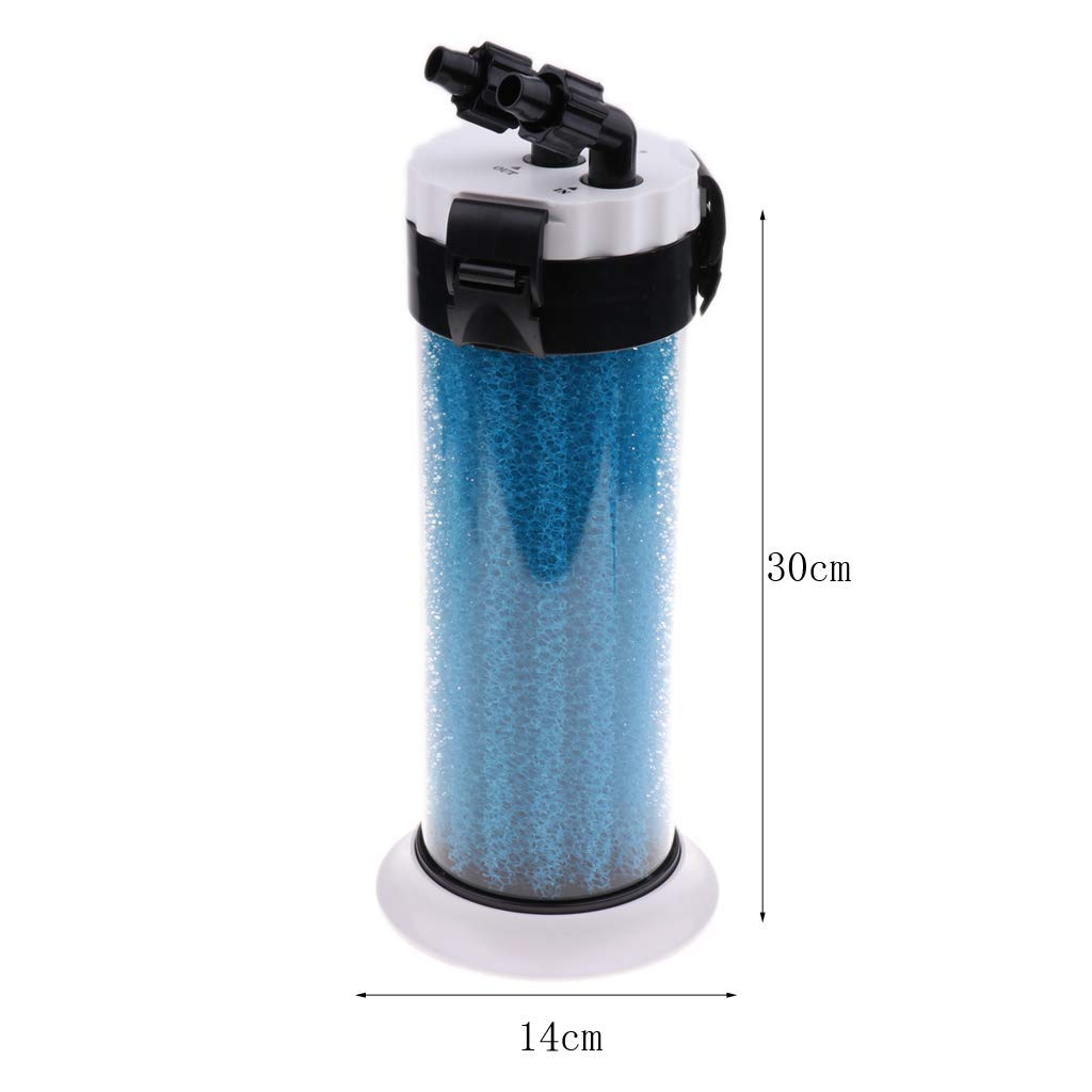 Préfiltre d'aquarium - Éponge externe - Outil de nettoyage pour terrarium et aquarium