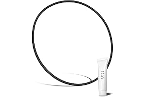 DEX2422Z2 Filter Seal Washer: Essential Cartridge Filter Replacement