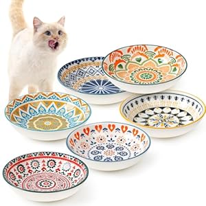 Rapsrk B38 Keramik Katzenfutternapf-Set 6-teilig