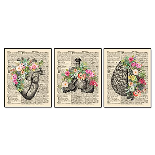 Zearpt Anatomy Art Set, Anatomy With Flower, Psychology Wall Art cover