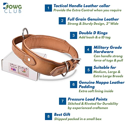 DowgClub, Light Brown, XL (Fit Neck Size 22"-26") - Image 4