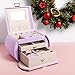 Vlando Princess Style Jewelry Box for Girls Jewelry Box Girls 8-12 3-Layer Kids Jewelry case with Mirror Valentines Day Gifts for Self (Purple)