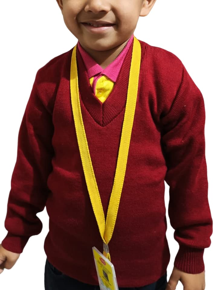 Rudram Arts Kid's Wool V Neck Sweater