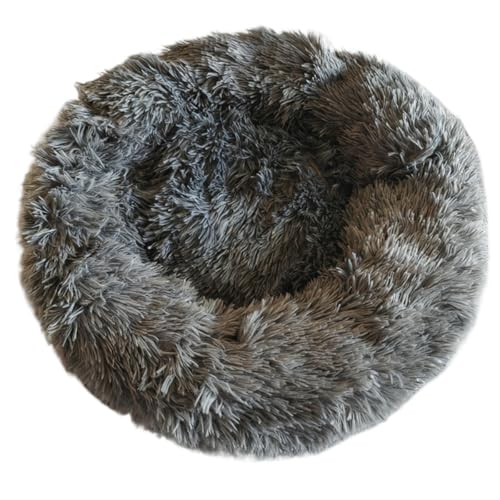 Fiozwea Eh^ybgxbh ӂӂh[ic^~p\t@xbh LpBӂӂŒgA~ߌʂAϊ \iTCYWJLxjB (C,a90CM)