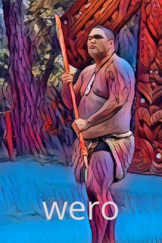 Te reo maori - wero - notebook