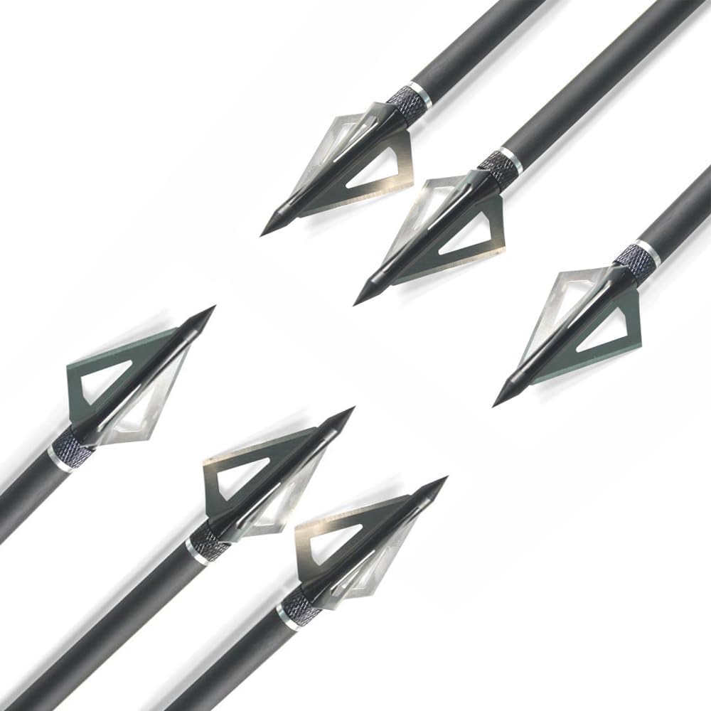 Pointes de Flèches 100 Grain Broadheads Tir à l'arc Conseils avec Boîte Chasse