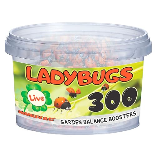 NanoVac Live Ladybugs 300 Count Hippodamia convergens Vented Container
