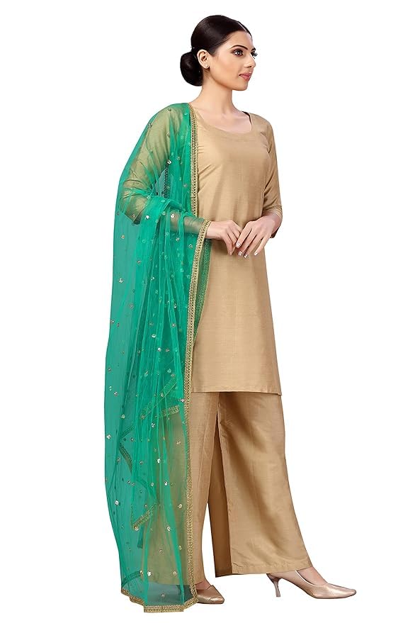 !pts! Women's Net sequence Embroidered Full Size Dupatta2
