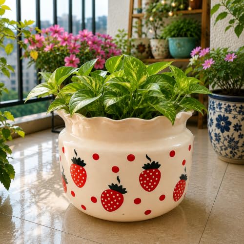 Image of Niyara Designer Ceramic planters pots for Indoor Outdoor Home, Garden Office Decor Balcony Planters Gamla Flower Size- Large, 8 inches (Strawberry)