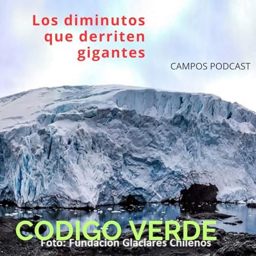 6.- Los diminutos que derriten gigantes.