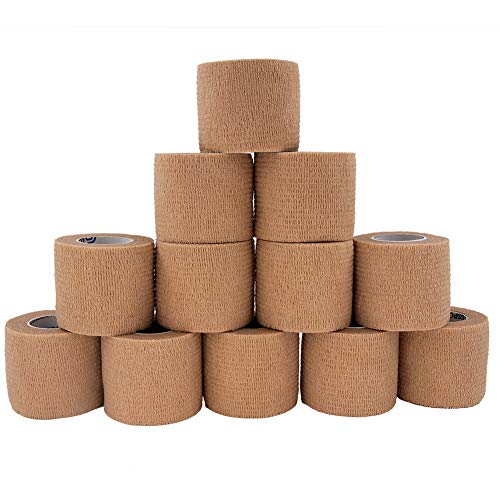 S Lk e͕ѐLk of[W X|[cpi(5cm X 4.5mj 12 (F)