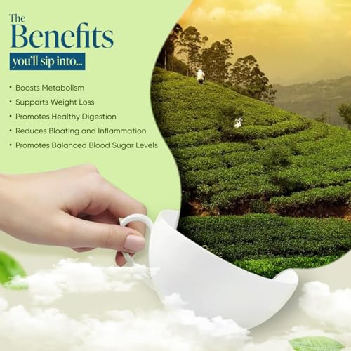 Image of Winty Aqua Slim Green Tea - 30 Compostable Tea Bags | With Garcinia, Moringa & Jasmine | Premium Herbal Ingredients | Aromatic Blend with No Preservatives | For Weight Management & Detox | Herbal Tea Bags