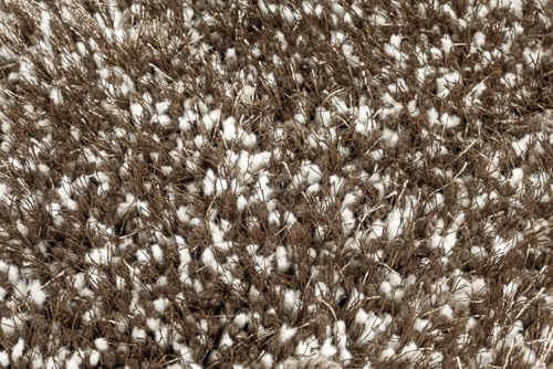 Image of FIASCO Tie Dye Shaggy Carpet Bedside Runner | 2 Inch Pile Height Back in Canvas for Bedroom, Kids Room, Guest Room Microfiber Soft Plush Fluffy Shaggy Carpet | 1.5x4 Feet Beige Ivory Mix