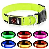 Vizpet Led Dog Collar, USB Rechargeable Blinking Safety Pet Collar, Perfect for Matching Leash & Harness, for Small Medium Large Dogs (Green, Medium)