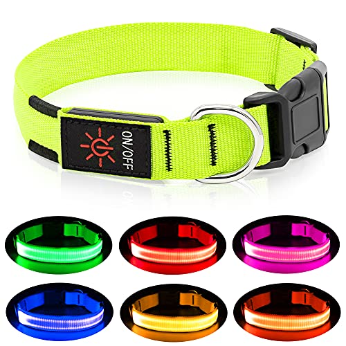 VIZPET Led Dog Collar, USB Rechargeable Blinking Safety Pet Collar, Perfect for Matching Leash & Harness, for Small Medium Large Dogs (Green, Medium)