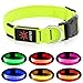 Vizpet Led Dog Collar, USB Rechargeable Blinking Safety Pet Collar, Perfect for Matching Leash & Harness, for Small Medium Large Dogs (Green, Medium)
